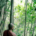 Maintaining Perfect Equanimity: My 10-Day Vipassana Retreat