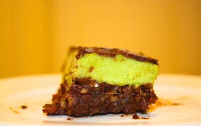 Raw Chocolate Mint Squares